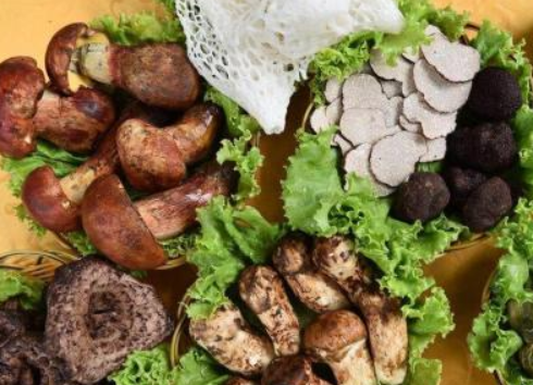 绿色姬菇出售_生态蘑菇-四川三邦羊肚菌业有限公司