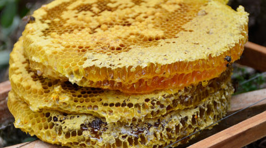 畅销野生蜂蜜营养成分  阿坝野生蜂蜜