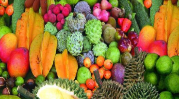 泰国热带水果价格_泰国热带水果价格-海南宁松智能科技有限公司