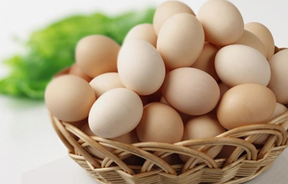 成都土鸡蛋商城_土鸡蛋的营养价值相关-云阳县毛健家禽养殖有限公司