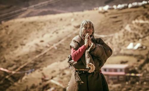 准确扶贫产业_农村扶贫相关-西藏柏良建设工程有限公司