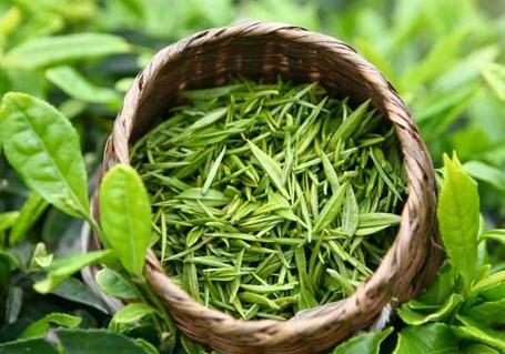 中部绿茶加盟电话_绿茶的功效与作用相关-长沙县白石源茶叶有限公司