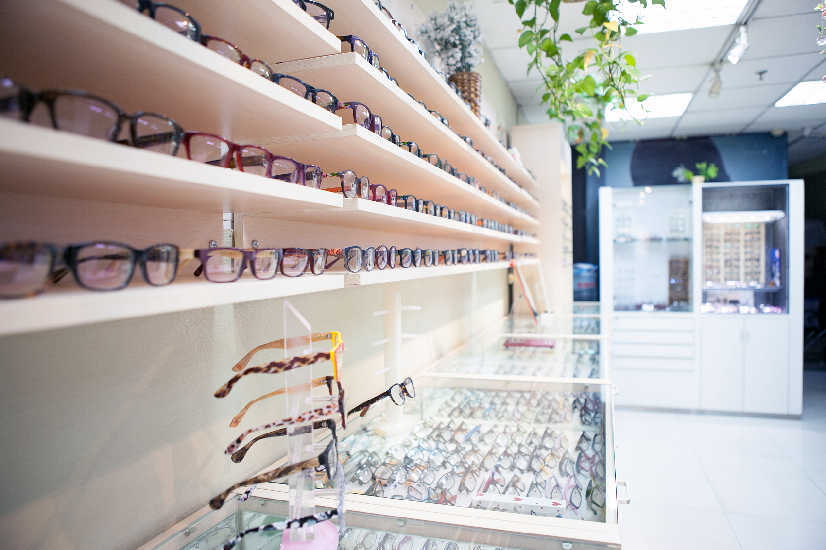 近视眼镜零售哪家好_眼镜零售哪家好_广州诺亚视光贸易有限公司